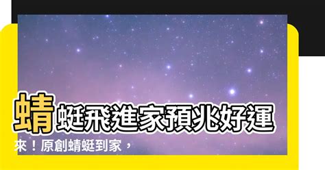 蜻蜓飛進來|蜻蜓入宅有何含義？風水師解釋